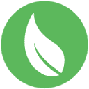 EHS Insight logo